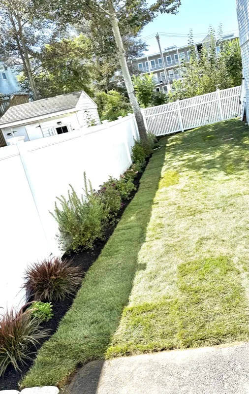 Garden bed with black mulch and colorful plantings